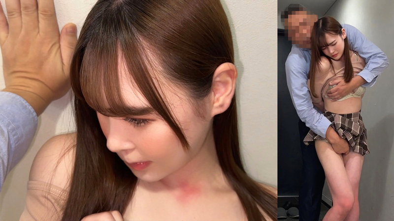 新●区債務者N